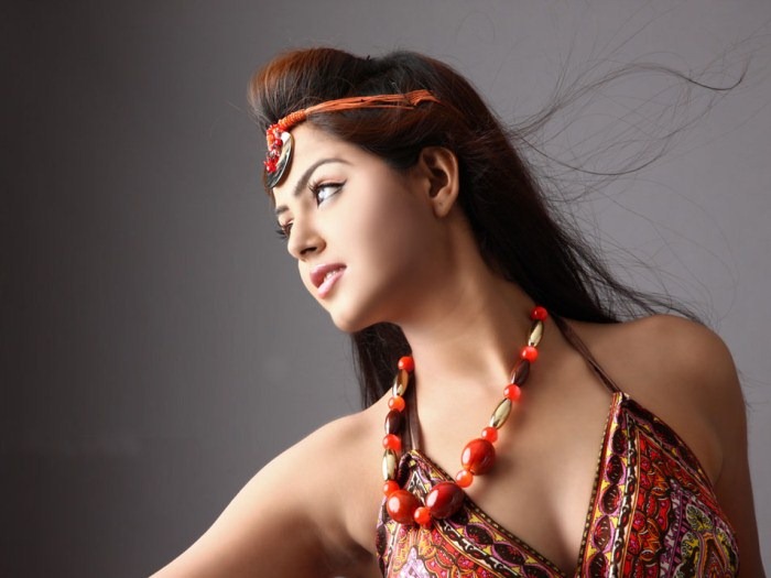 [monal_gajjar_hot_pic1%255B2%255D.jpg]