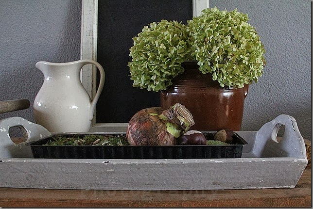 Home & Lifestyle Home & Lifestyle