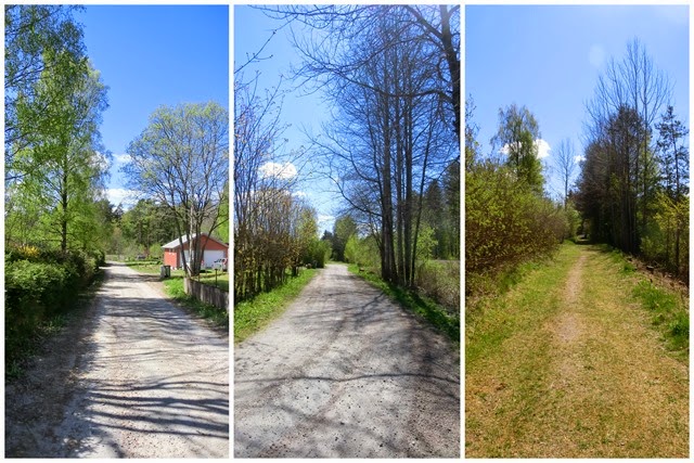 2014-05-04 country road