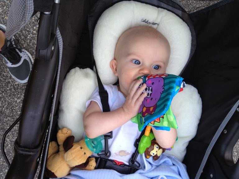 [IMG_4784%255B5%255D.jpg]