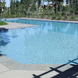 Commercial Pools2.jpg