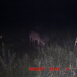 ICAM0071 (3).JPG