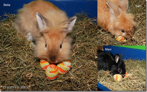 Frohe Ostern Frohe Ostern