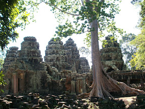 Cambodge - Siem Reap - Les temples d'Angkor