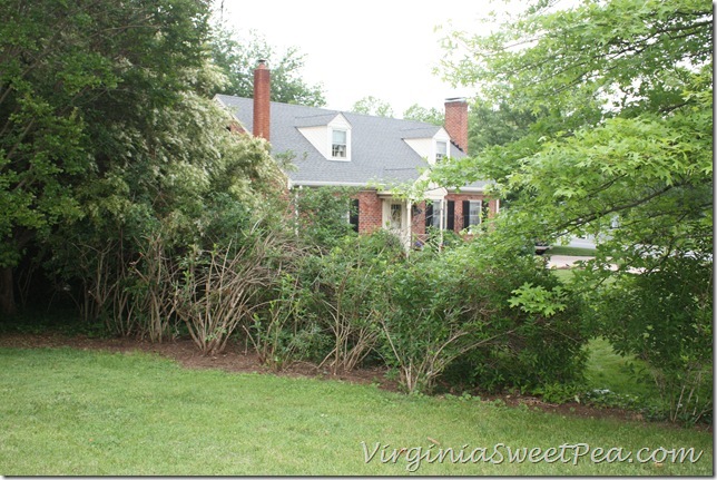 IMG_3657 IMG_3657