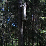 DSC_5442.jpg
