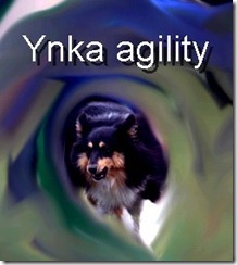ynkaag2