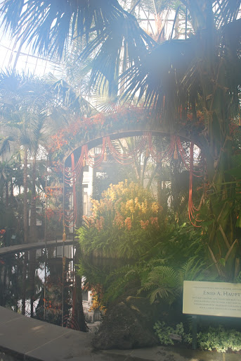 The moisture inside immediately fogged up the camera lens!