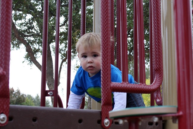 [IMG_8399%255B4%255D.jpg]