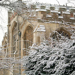 image15.jpg