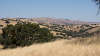 DSC02923.jpg
