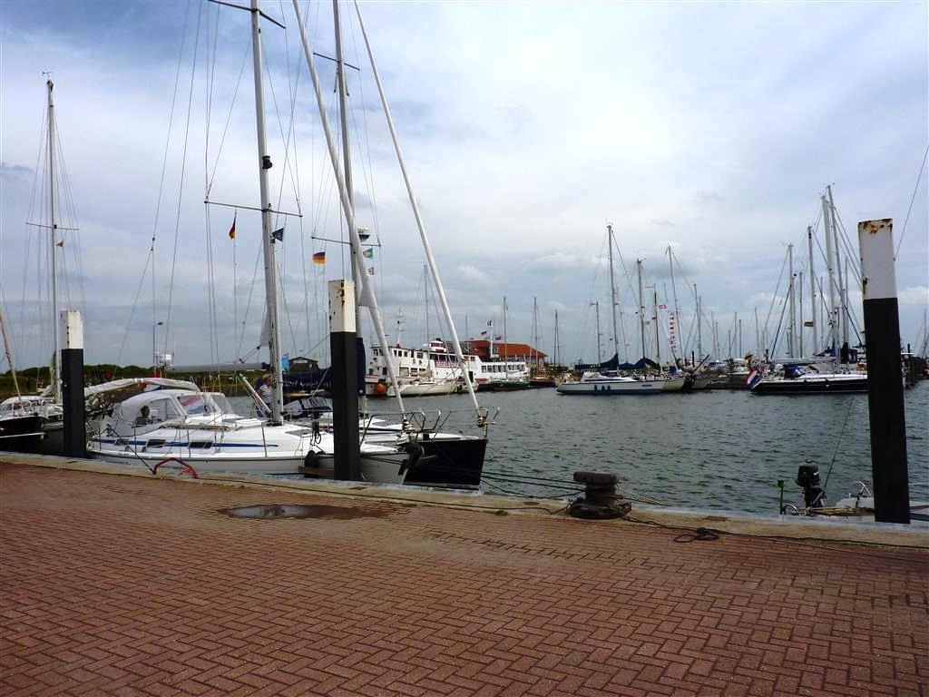[P1030778-Medium2.jpg]