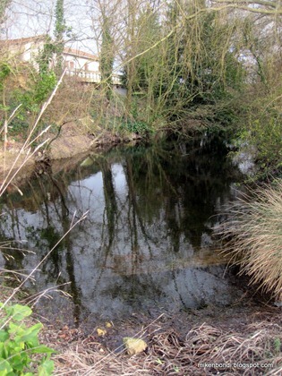 clear pond
