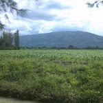Haiti Country Side
