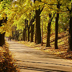 P1050433.JPG
