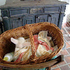 petits danimaux