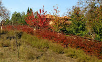 Iron Horse Trail 083.JPG Photo