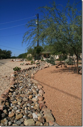 IMG_6008 IMG_6008