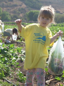 That is one BIG bag of vegetables!