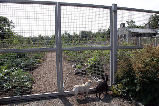 Sharkey, you and I have been working so hard on the farm.  Don't you think it's time to stop and smell the roses?