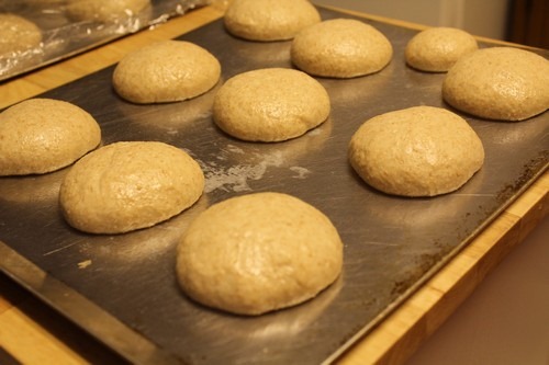 sourdough-poppy-seed-rolls011