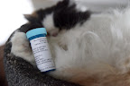 Let me read the entire label first.  I want to make sure I get these instructions right.