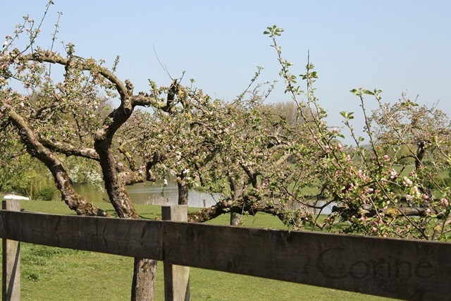 lingedijk.