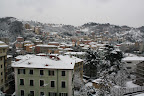 IMG_4888.JPG