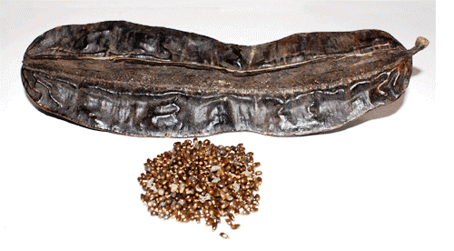 [Prekese%255B3%255D.gif]