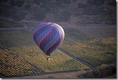 Ballooning over Napa Valley, California