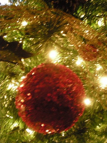 [dec090792.jpg]