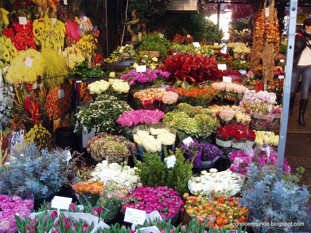 [Amsterdam.-Mercado-de-las-flores---P%255B2%255D.jpg]
