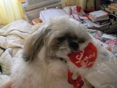 [DSCN01602.jpg]