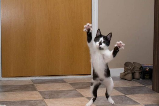 [166492%255B2%255D.jpg]