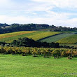 Wineries 09.jpg Wineries 09.jpg