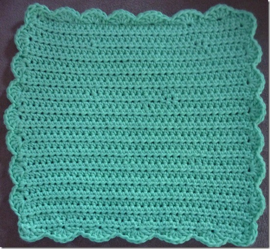 dishcloth