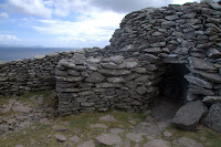 Beehive house