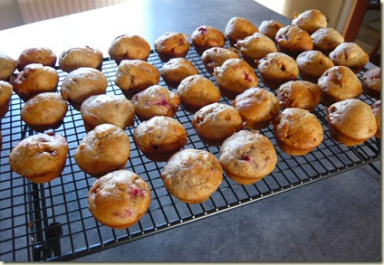 fudge muffins5