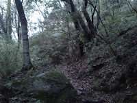 DSC_0071.JPG Photo