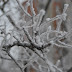 DSLR Filtre: polarizare & ND4/ND8 D60 Polarizare Diverse%252520%2525288%252529 DSLR Filtre: polarizare & ND4/ND8