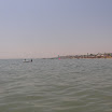SAM_0331.JPG