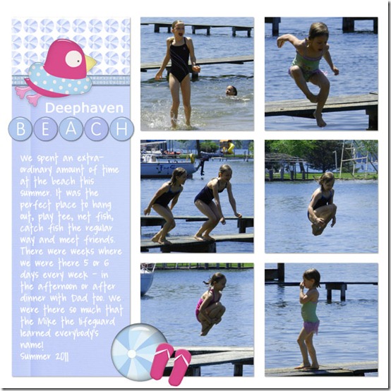 Deephaven-Beach-2011