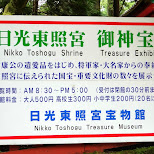 toshogu shrine in Nikko, Japan by Matt van Vuuren in Nikko, Totigi (Tochigi) , Japan