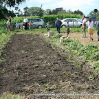 graanoogst-09-031.jpg