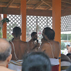 DSC_4411.JPG