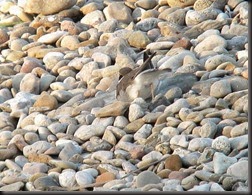 IMG_0132xx IMG_0132xx