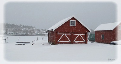 IMG_3903 IMG_3903