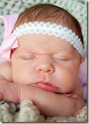 Mollie's Newborn Pics 012