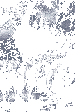 Siegfried Funeral Procession