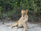 Chobe Nationalpark